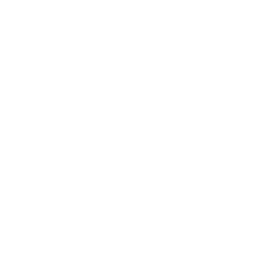 Pay-Per-Click Ads